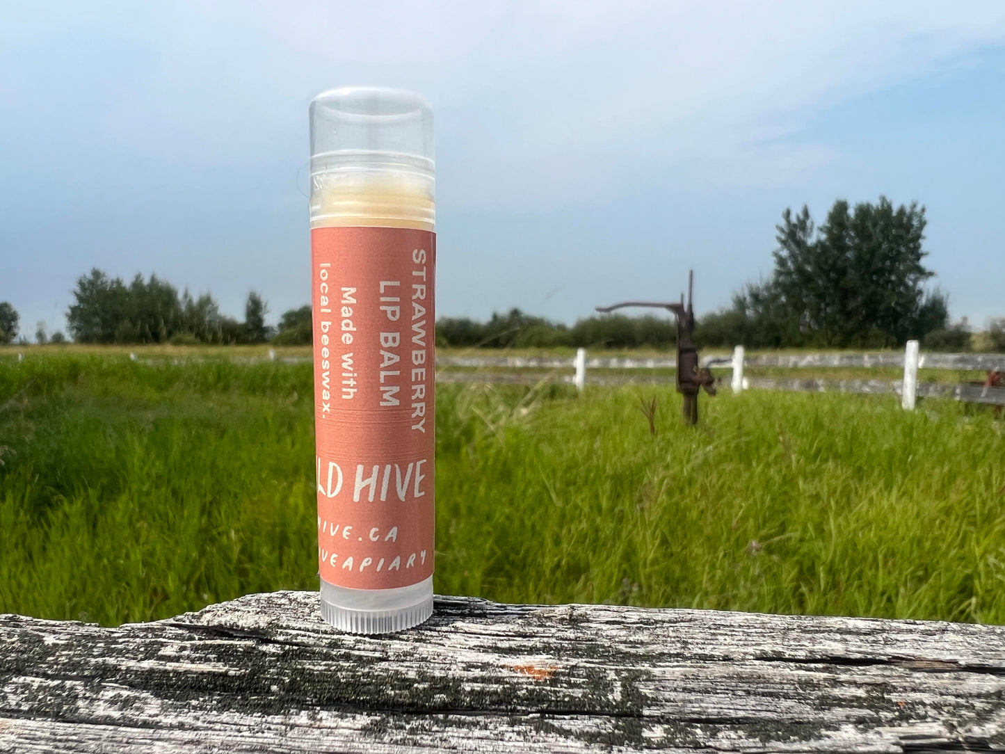 Lip balm