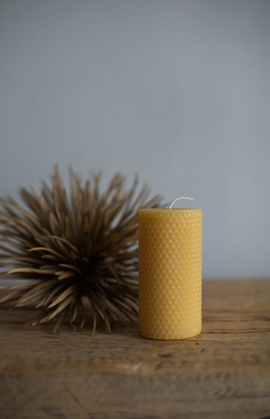 Honeycomb Cylinder